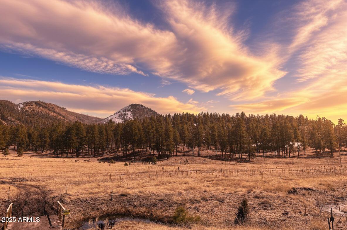 -- Country Road 2276 #2, Nutrioso, AZ 85932