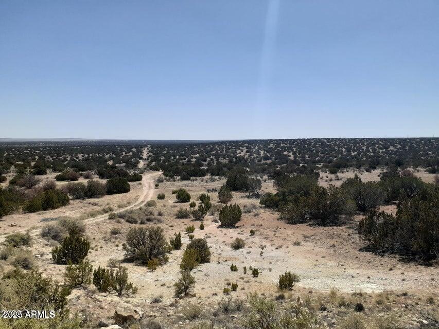 SW 10 Acre 17xx Buffington Hill Rd. #-, Heber, AZ 85928