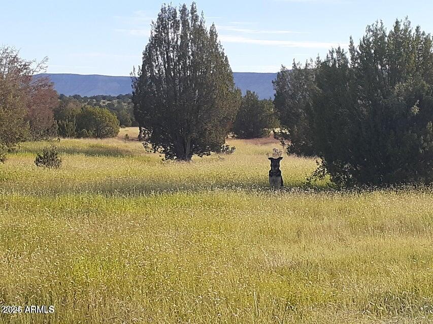 32018 W Calle Ines Pkwy. #-, Seligman, AZ 86337