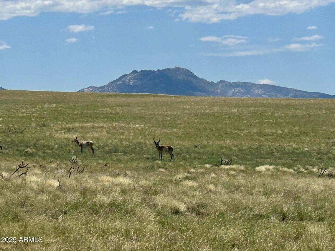 TBA E Lot 40-a1 Off Of E Norma #40-A1, Prescott Valley, AZ 86315