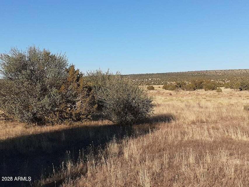 602 Denny 5 Rd. #-, Seligman, AZ 86337