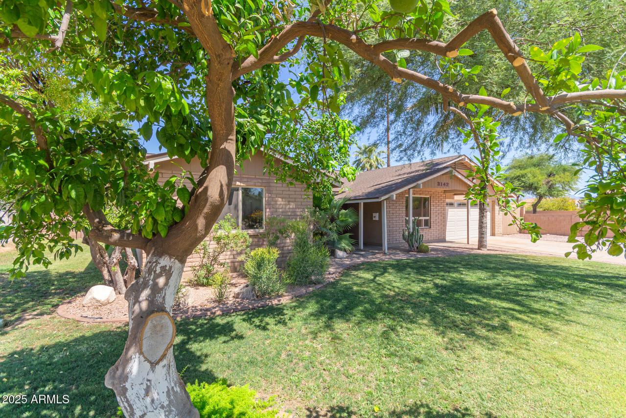 3142 E Altadena Ave., Phoenix, AZ 85028