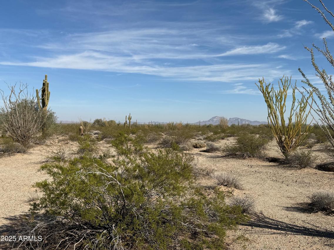 1275 N 557th Ave. #128, Tonopah, AZ 85354