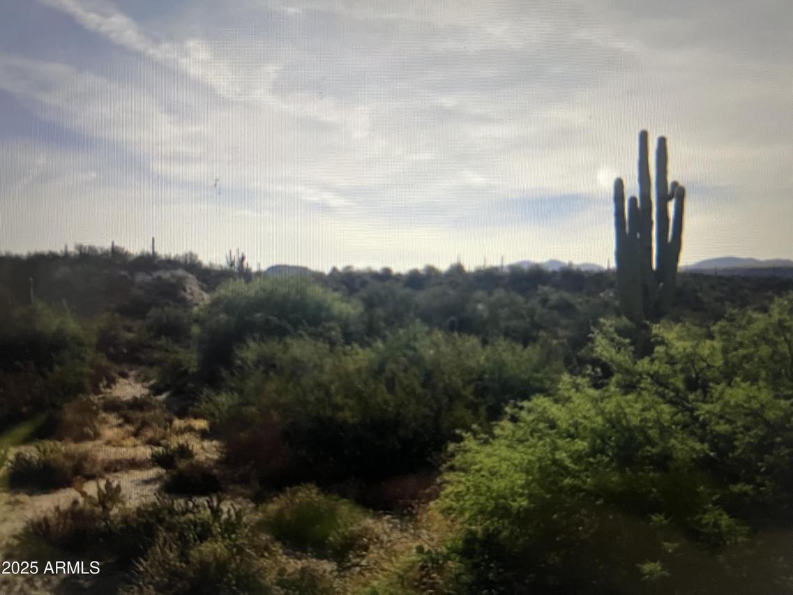 Coldwater Rd. #_, Black Canyon City, AZ 85324