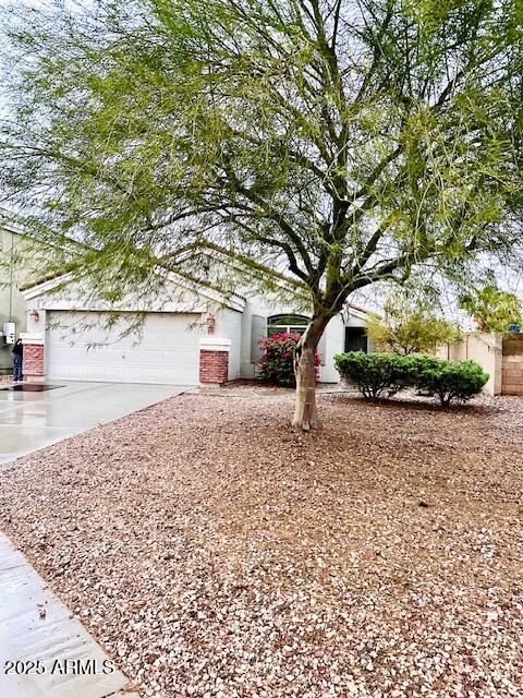 23792 W Pecan Ct., Buckeye, AZ 85326