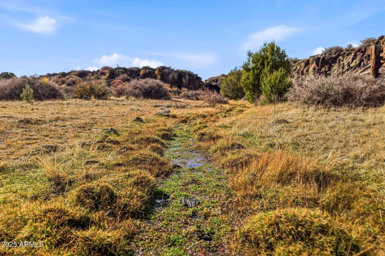 000 Tbd #-, Greer, AZ 85927