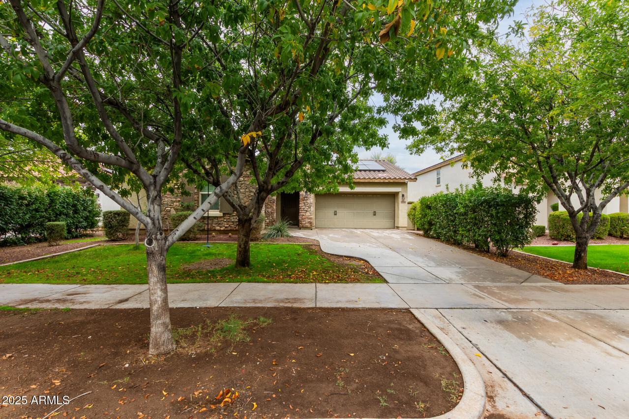 20768 W Hamilton St., Buckeye, AZ 85396