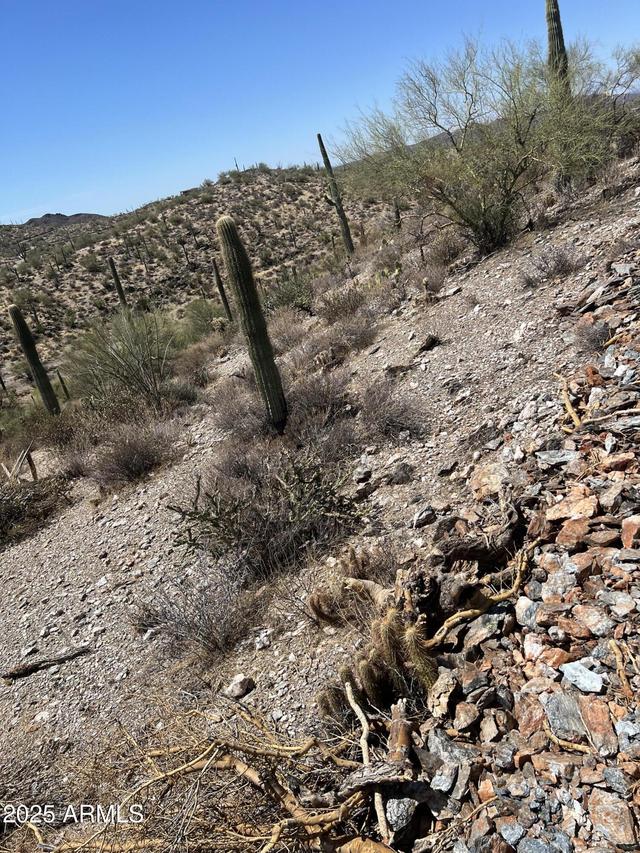 11XX N Hardt Tank S Lot 2 Rd. #2, Queen Valley, AZ 85118