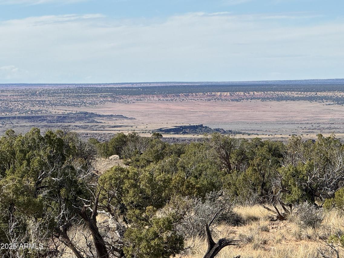 Lot 62 Sierra Highlands Ranch #62, St Johns, AZ 85936