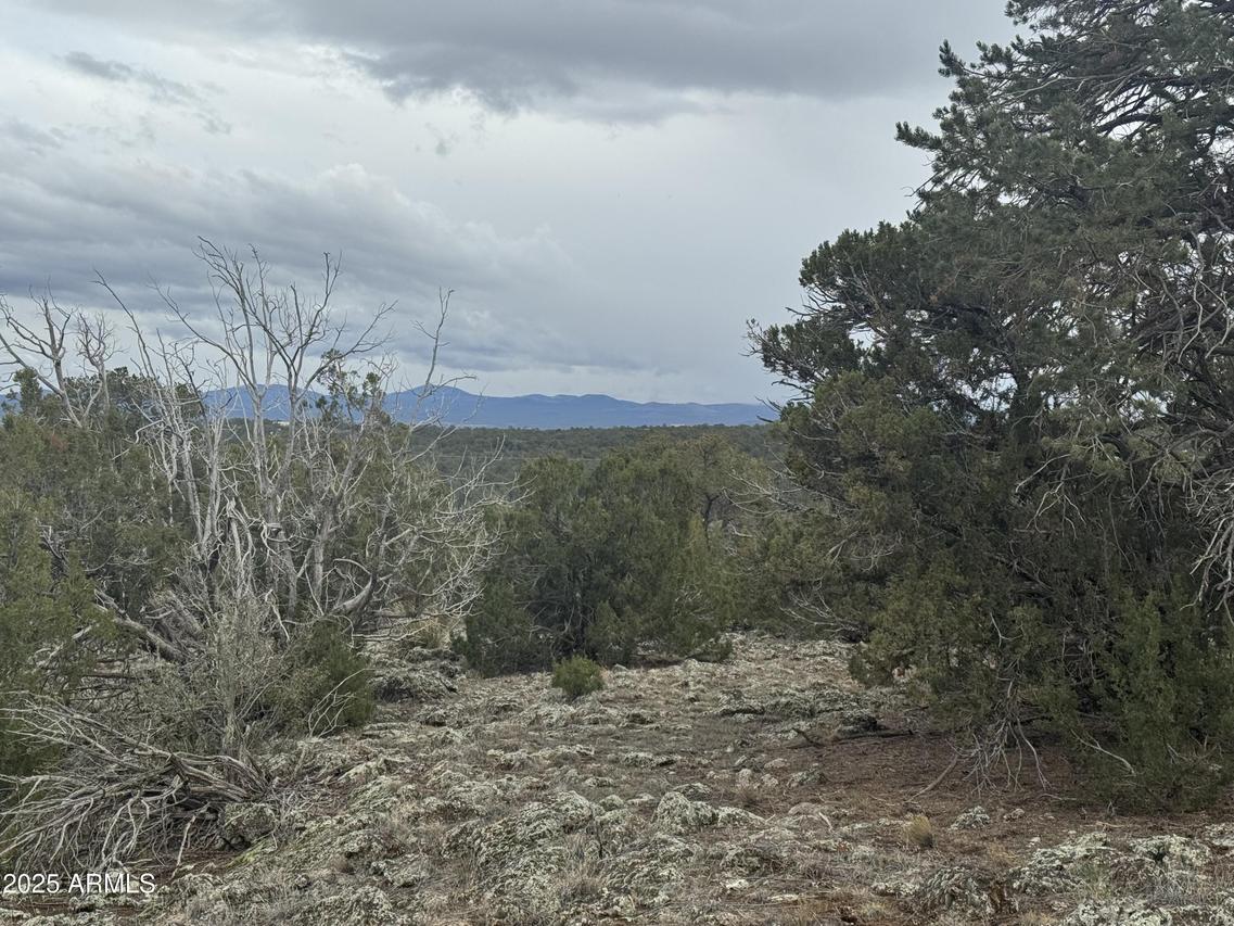 24 Acr 8051 #2355, Concho, AZ 85924