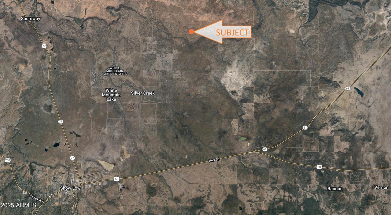 9529 Southern Ln. #-, Show Low, AZ 85901