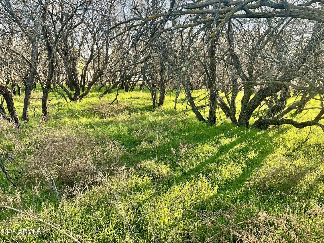 036L Caitlin Ln., Cottonwood, AZ 86326