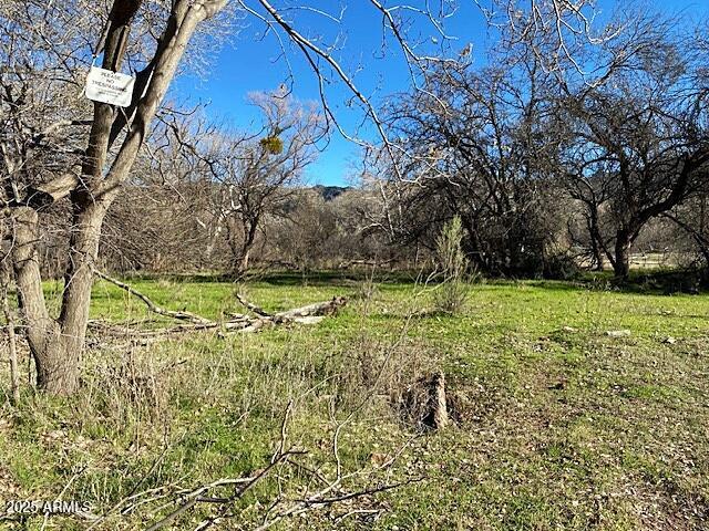 S Tonto Creek Dr. #391, Payson, AZ 85541