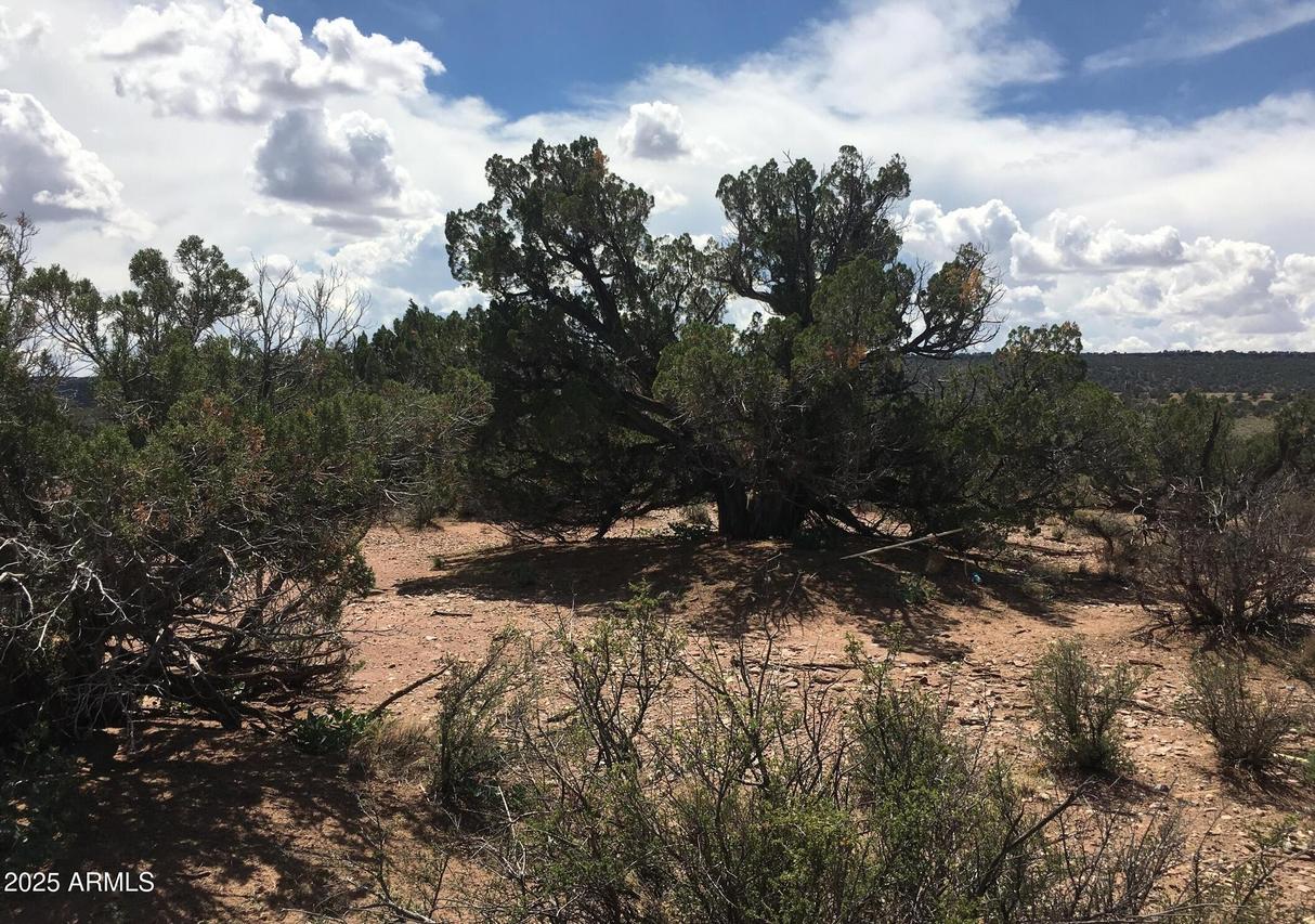 4266 Bunkhouse Rd. #6, Snowflake, AZ 85937