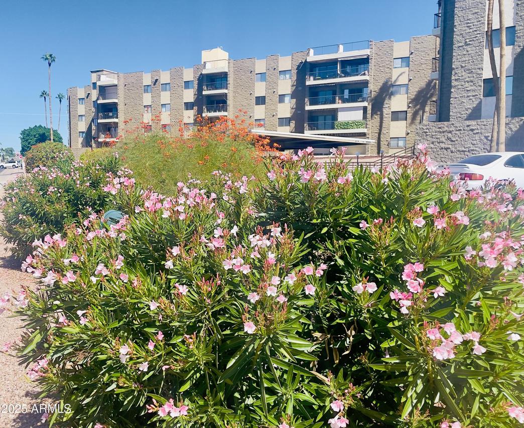 425 S Parkcrest #322, Mesa, AZ 85206