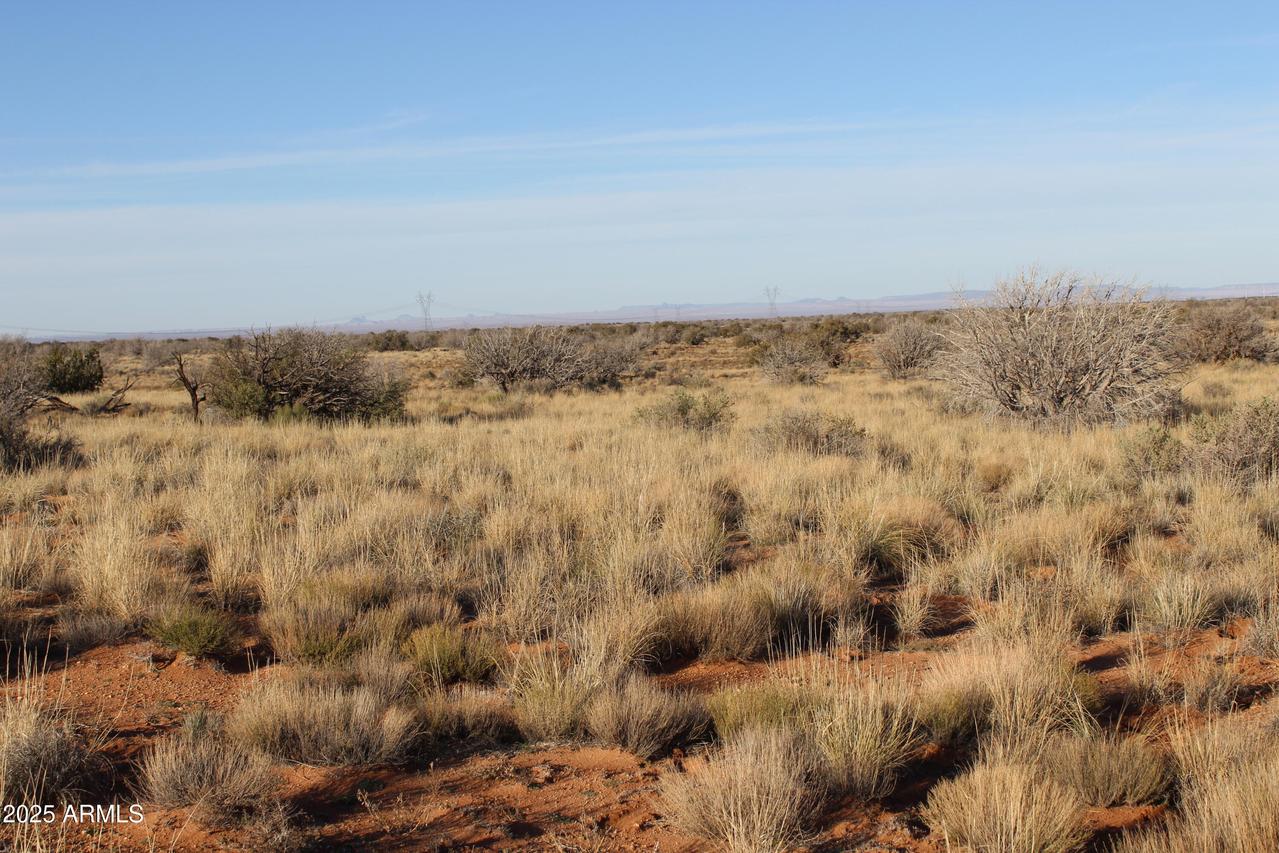 Lot 224 Ccr  Unit 2 #224, Heber, AZ 85928