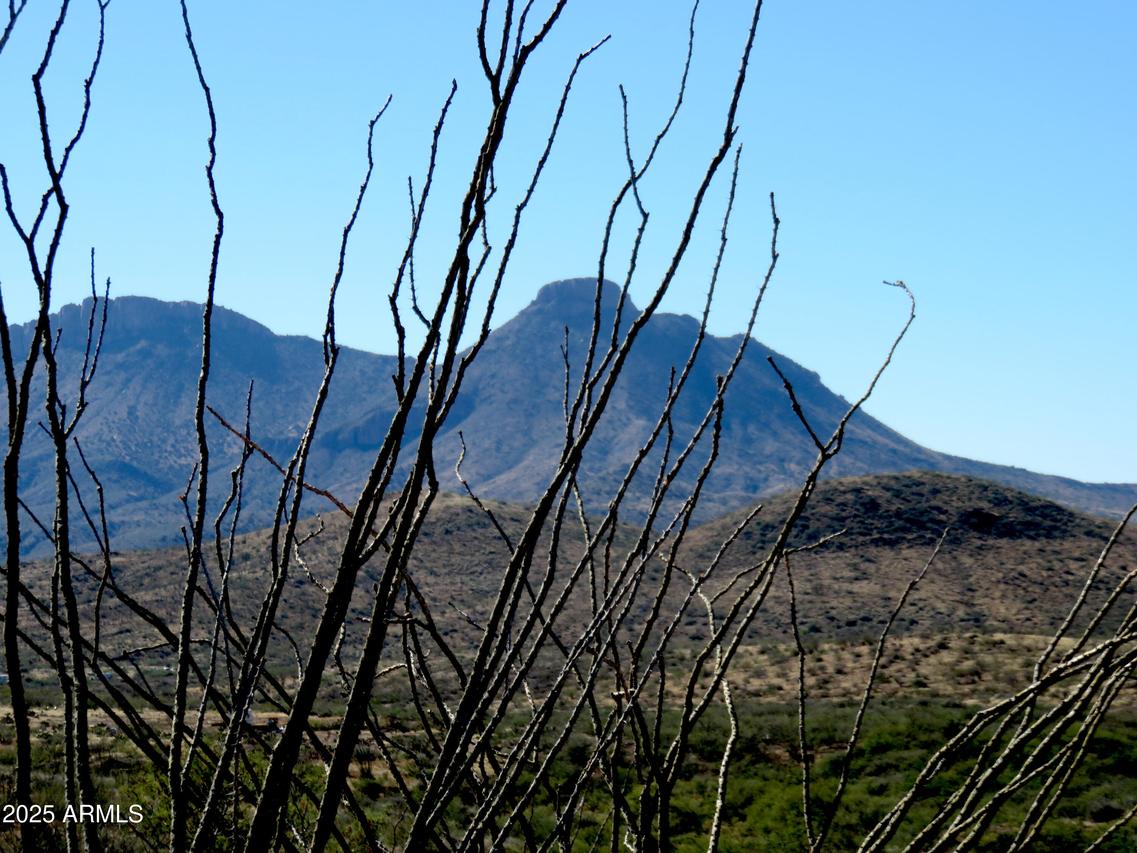 TBD E Walnut Springs Rd. #47, Douglas, AZ 85607