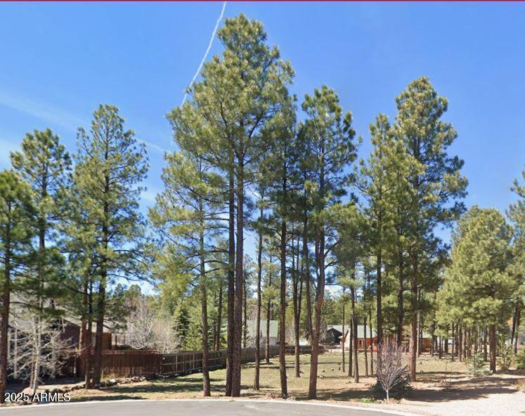 446 Osprey Ct. #29, Pinetop, AZ 85935