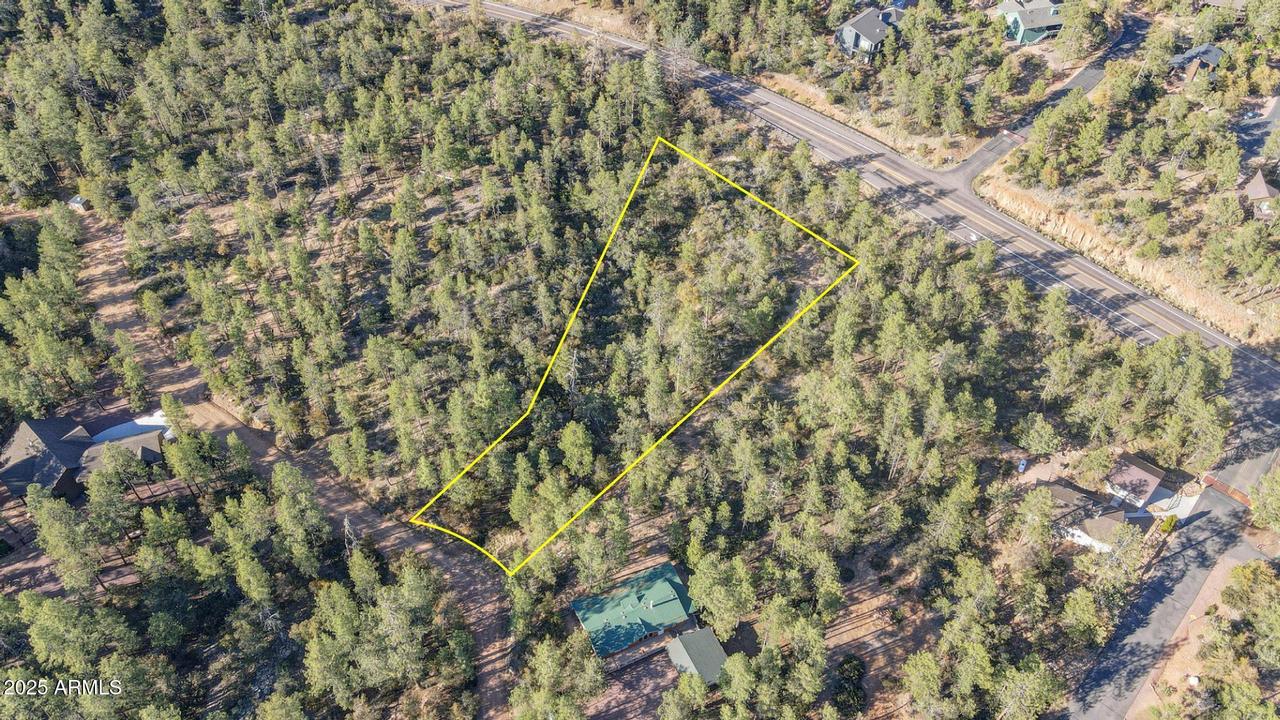 Lot 4 N Pine Hollow Tr. #4, Pine, AZ 85544