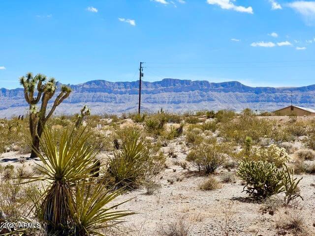 30390 N Dutton Dr. #182, Meadview, AZ 86444