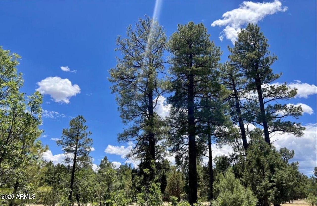 4453 Navajo Dr. #358, Happy Jack, AZ 86024