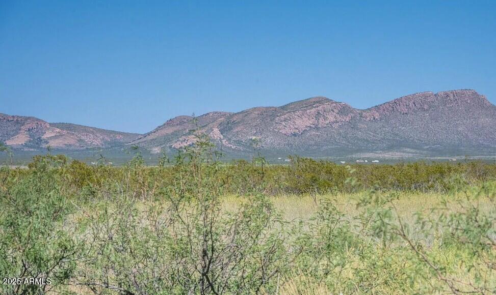 xxxx E Cll Principal #258, Douglas, AZ 85607