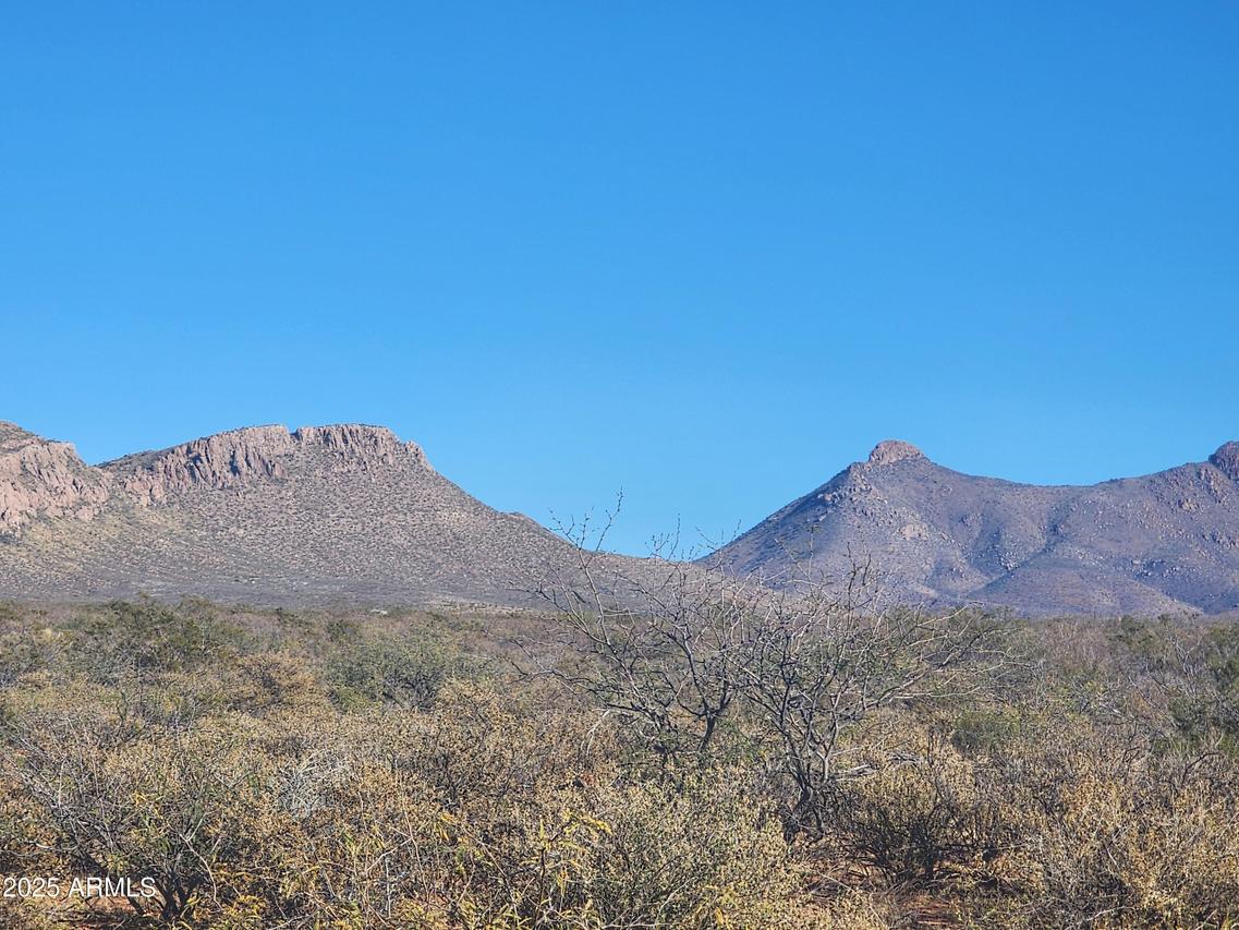 xxxx E Cll Principal #258, Douglas, AZ 85607