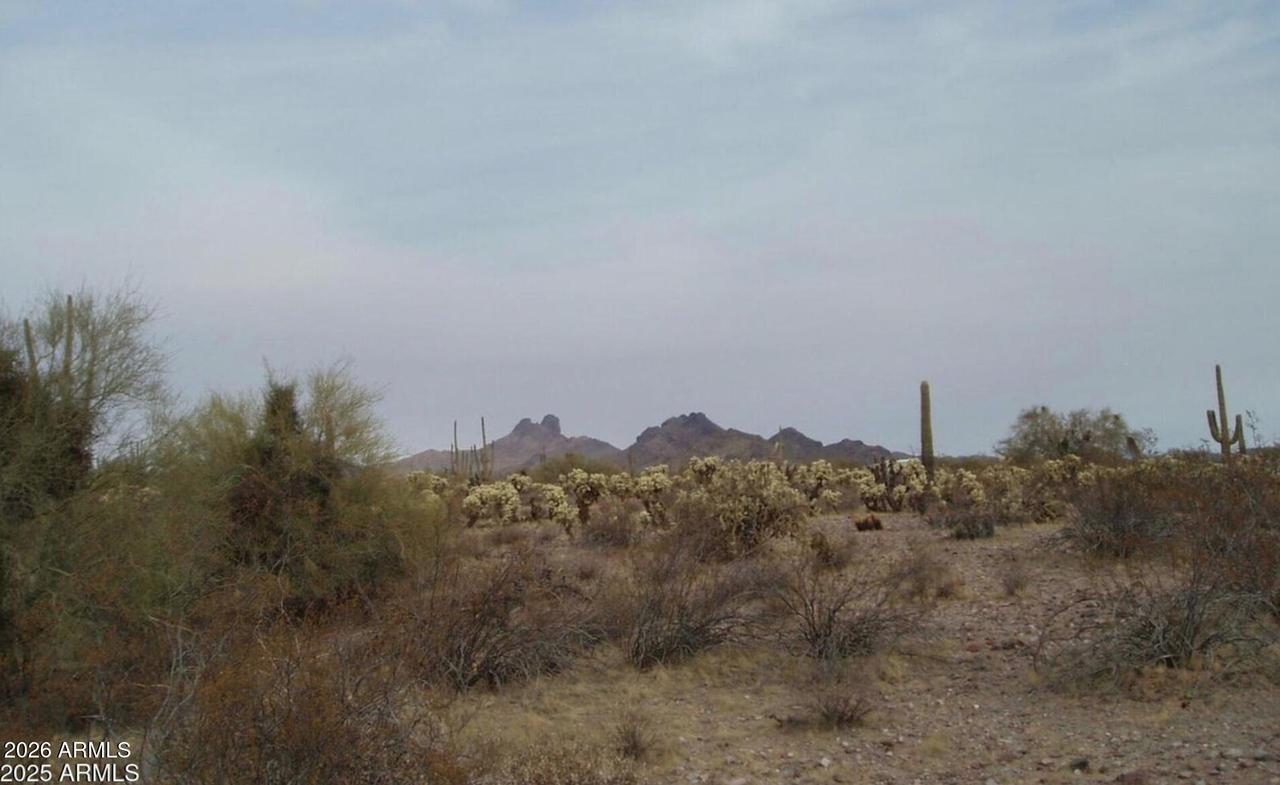 307000 N 315th Ave. #162 3, Wittmann, AZ 85361