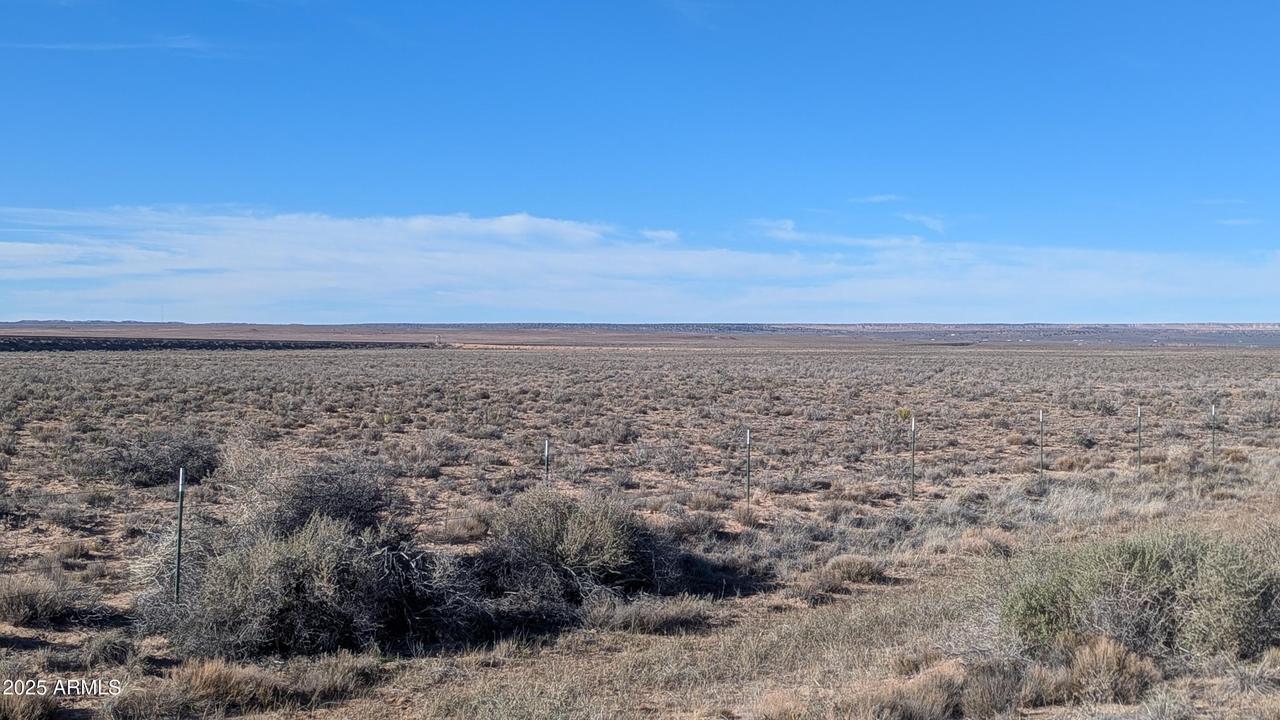 40 Acres South Of Navajo Travel Station #5, Sanders, AZ 86512