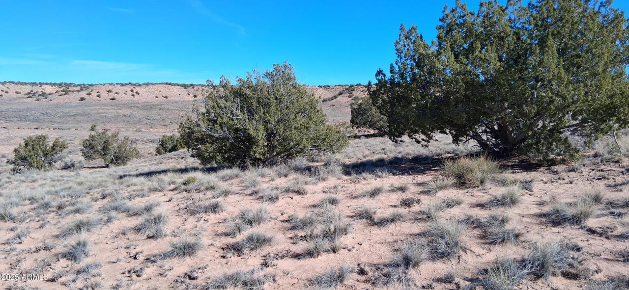 3.02 Acres Unnamed Rd. #457, Sanders, AZ 86512
