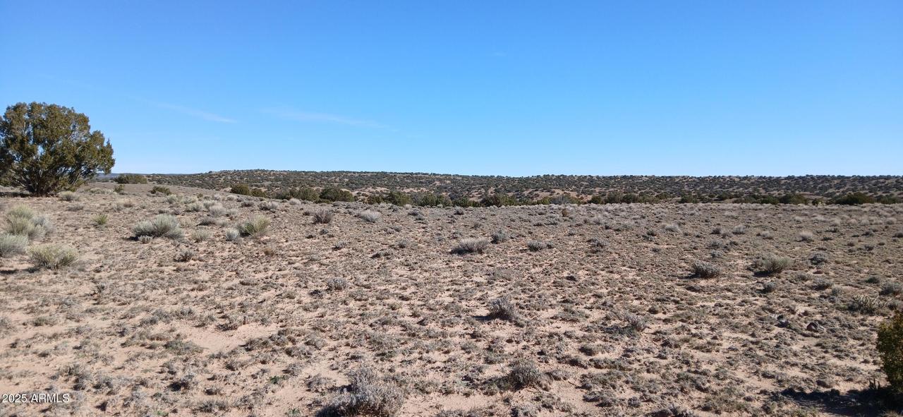 1.06 Acre Blackfoot Tr. #70, Sanders, AZ 86512