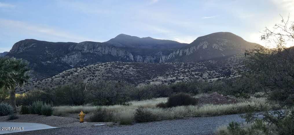 1.25 Acres E Emma Lane Lot 1 #-, Hereford, AZ 85615