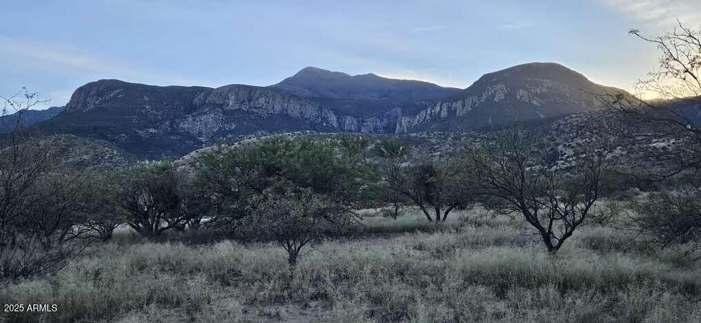 1.25 Acres E E. Emma Lane Lot 2 Ln. #-, Hereford, AZ 85615