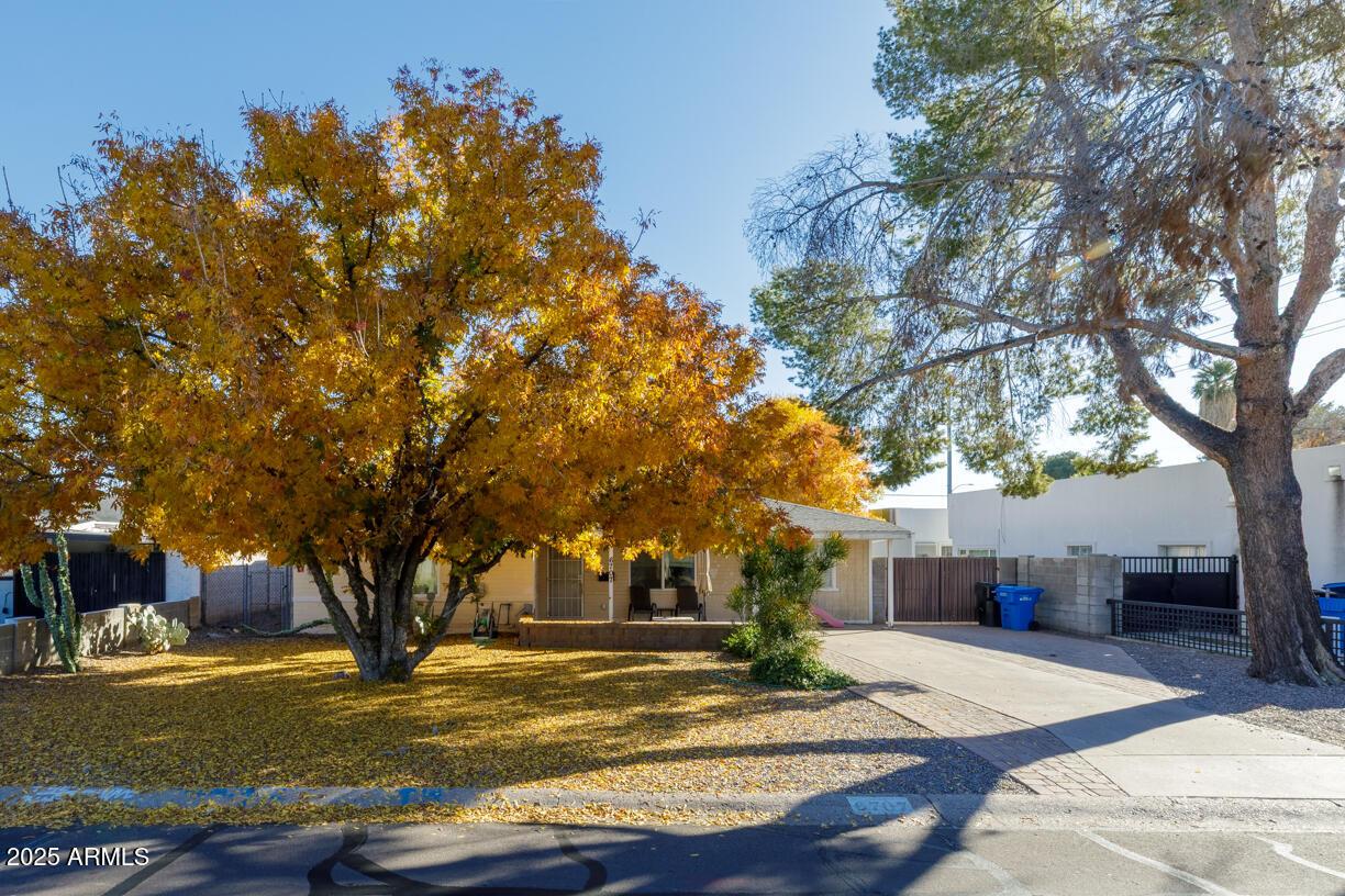 6707 N 10th St., Phoenix, AZ 85014