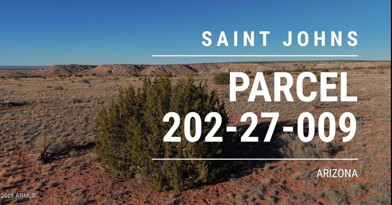 150 150 County Road N6100 #-, St Johns, AZ 85936