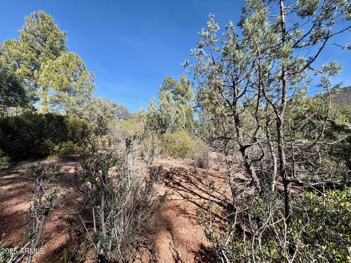 19 N Elk Rub Ln., Pine, AZ 85544
