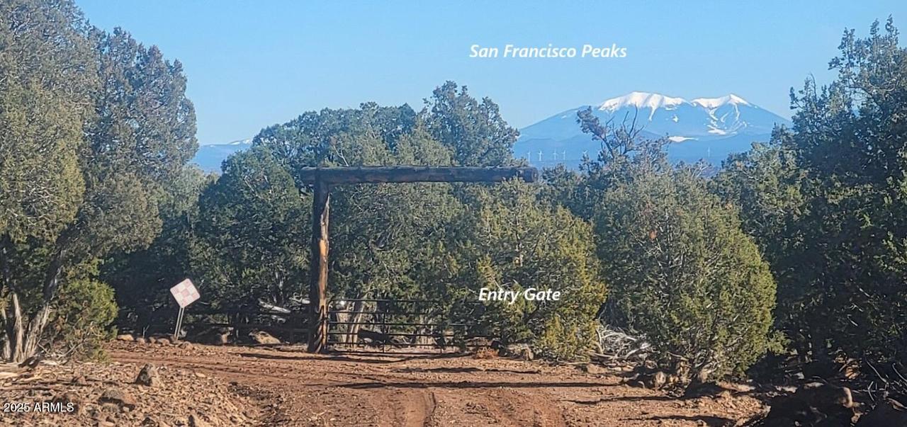 12120 9 Shooter #31, Williams, AZ 86046