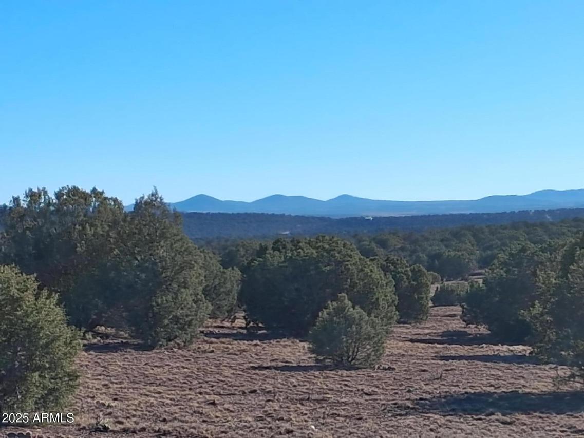 19 County Rd N8285 #-, Concho, AZ 85924