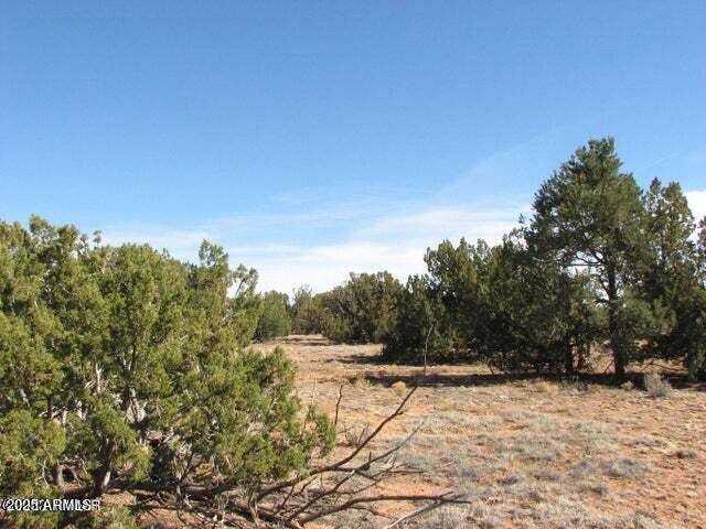 Lot 21 Chevelon Retreat #1 #21, Heber, AZ 85928