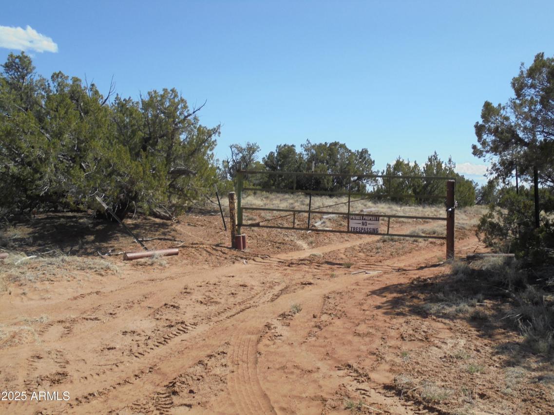 568 County Road N7407 #-, St Johns, AZ 85936