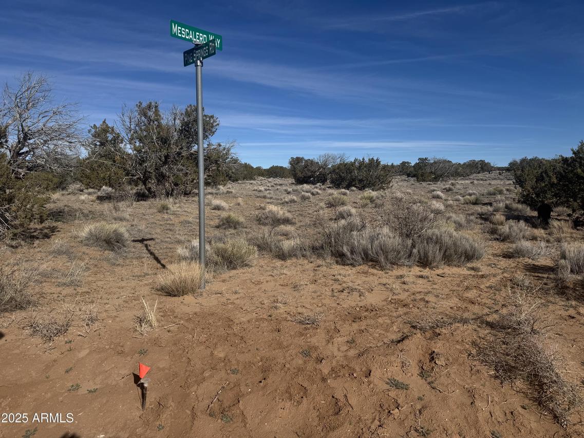 Lot 98 Woodland Valley Ranch #98, St Johns, AZ 85936