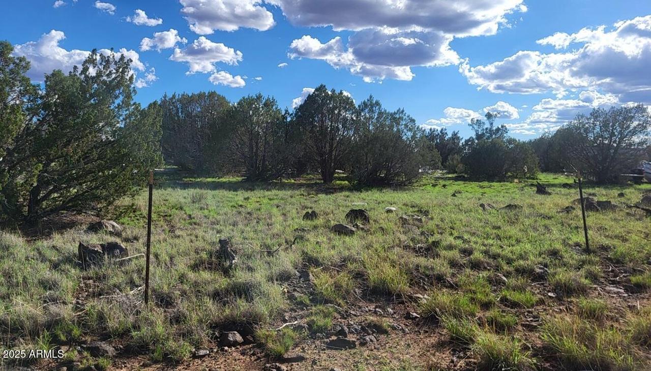 3851 N Boone Tr. #56, Ash Fork, AZ 86320