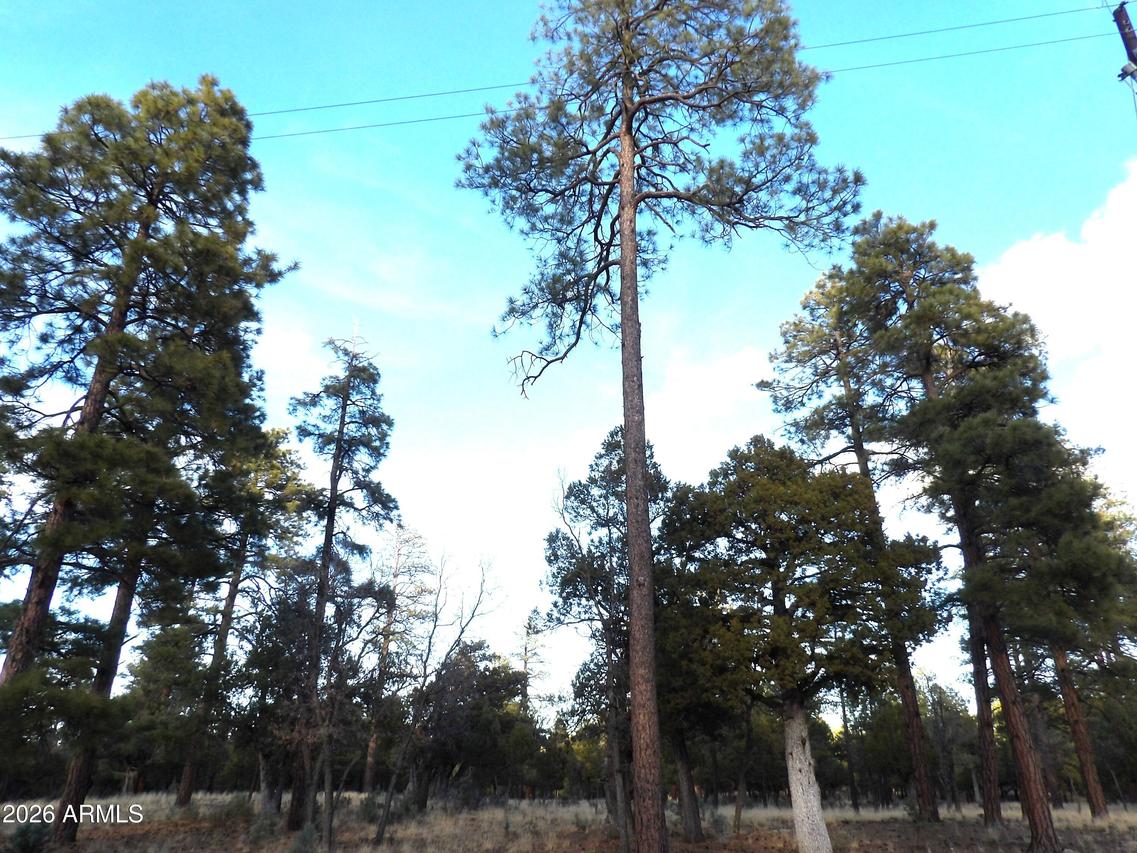 2941 Eagle Ridge Cir. #119, Happy Jack, AZ 86024