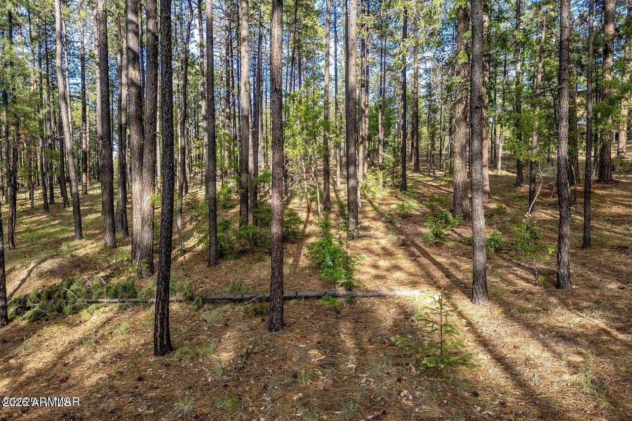 15 County Road 2083 #10, Alpine, AZ 85920