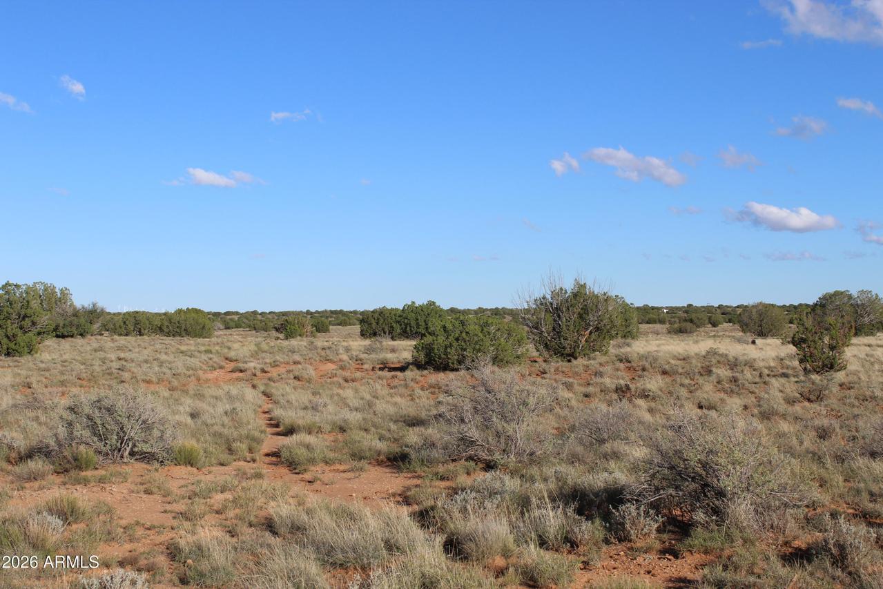 Sec 3 T14n,r17e:se4 #-, Heber, AZ 85928