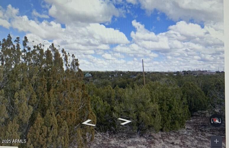 8546 Silver Creek Dr. #44, Show Low, AZ 85901