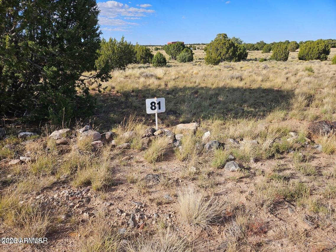 TBD Acr 8620 Lot 81 Rd. #81, Concho, AZ 85924