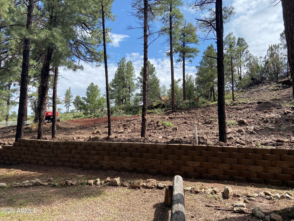 2820 Pine Hill Dr. #20, Overgaard, AZ 85933