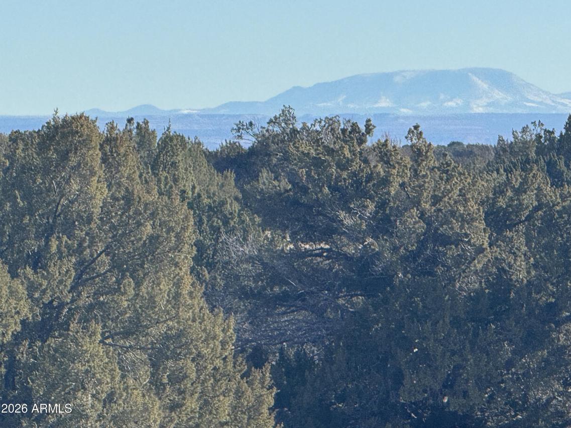 Lot 198 Red Sky Ranch #198, St Johns, AZ 85936