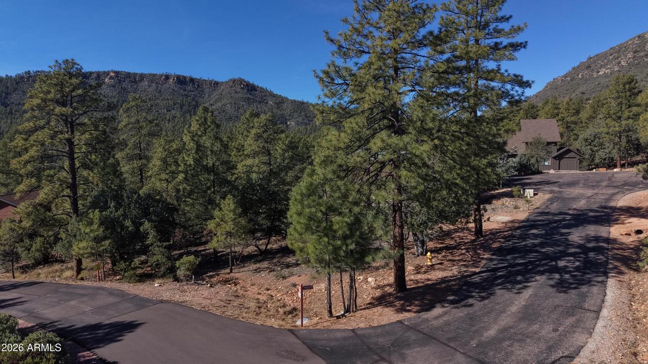 108 W Ruin Hill Loop, Pine, AZ 85544